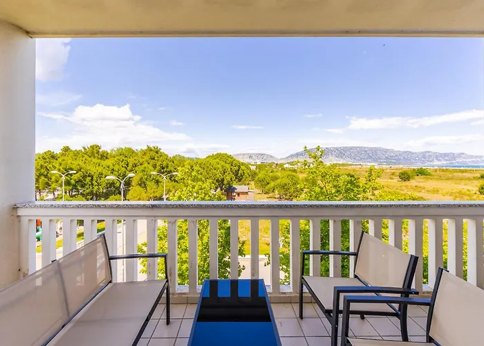 By Pikhost Velipojë