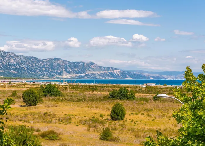 By Pikhost Velipojë